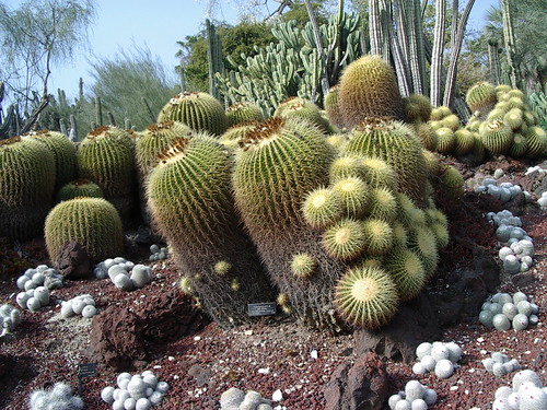Huntington Library-Pasadena, CA | by kkkkkppppp