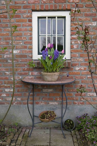 Spring Flowers in Containers-61 | by tobymusgrave