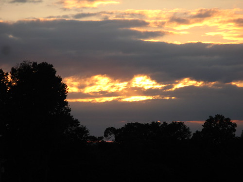 IMG_4707 by Claire DeLand ~ "GA Music Maker", Another beautiful <i><b>Northeast Georgia</b></i> sunset. 

Taken at the local truck stop (Echo Rest