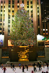 2008 Rockafeller Center Christmas Tree