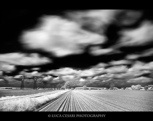 Infrared Étude - 2011 - #2 by Luca Cesari Photography