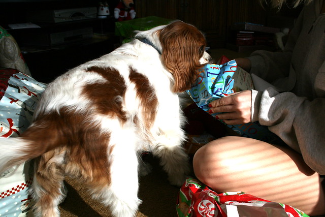 diego opens his presents