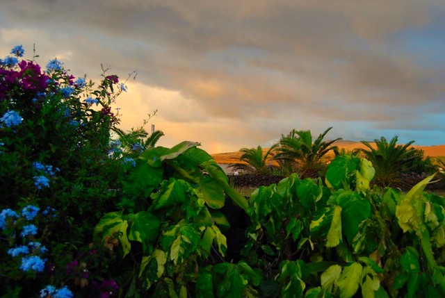 SUNSET AND FLOWERS...Easter Island