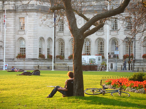 boy under tree sitting in front of city hall