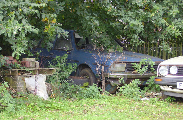 Renault 20 in a bush