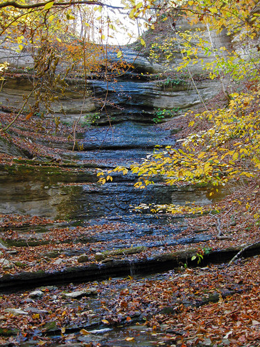 county trees green fall water colors leaves yellow creek waterfall spring tn tennessee alien falls jackson area