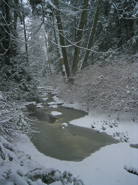 Frozen Silver Creek