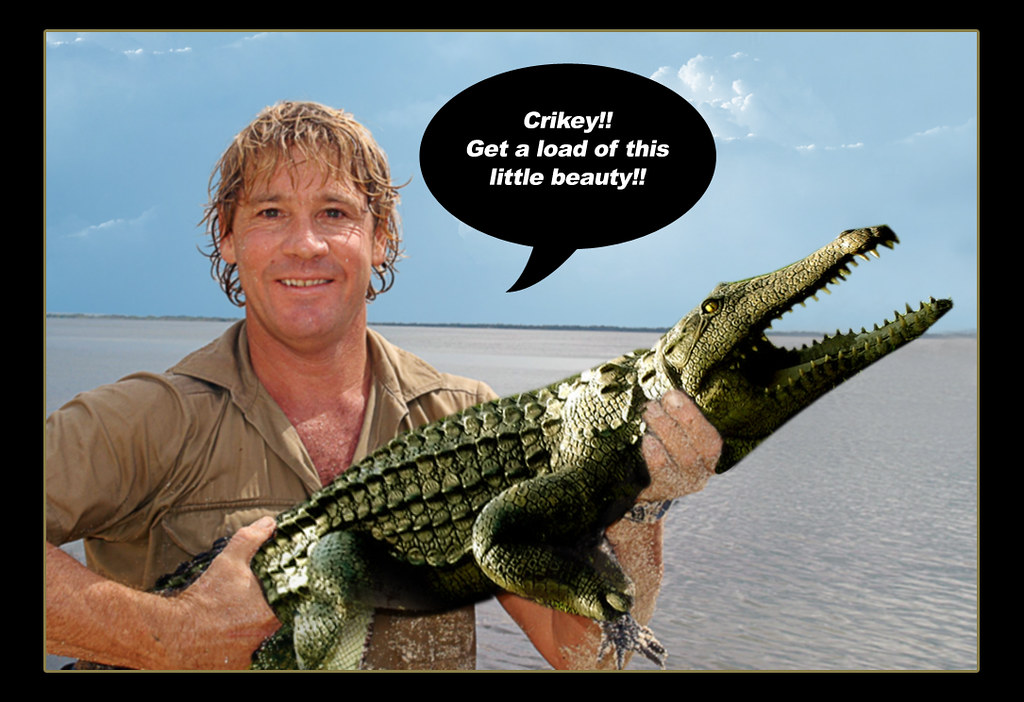 * R.I.P. ~ Steve Irwin * | This is for 