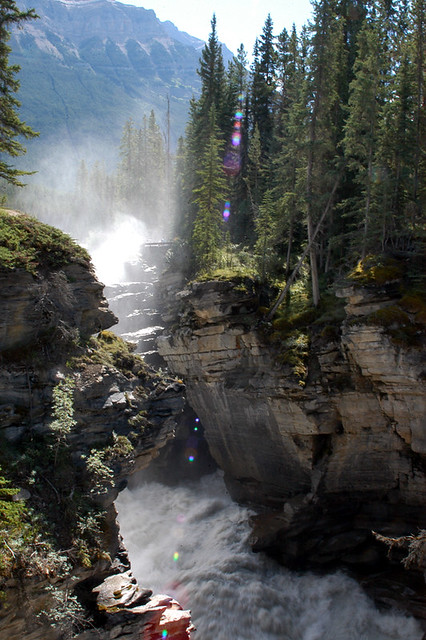 Near Athabasca Falls, Canada