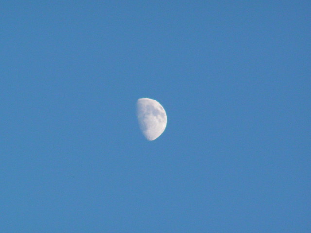 moon 11 07 08