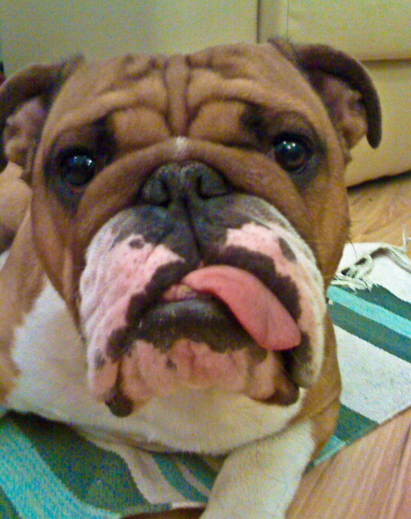 :P | Tongue was so dry :D Low quality - picture from phone. | Flickr