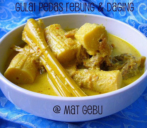 Gulai Pedas Rebung & Daging | by mat_gebu