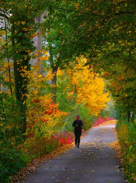 Jogging in the  colors of fall - Joggen im herbstlich gefärbter Natur
