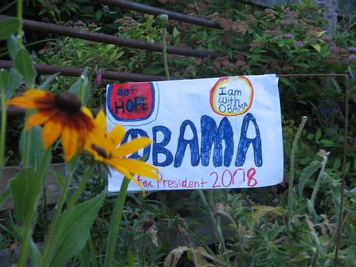 Homemade Obama sign | by jackonflickr