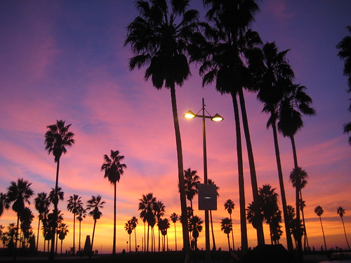 Nov 11, 2008 venice beach california sunset | Vivianne Robinson | Flickr