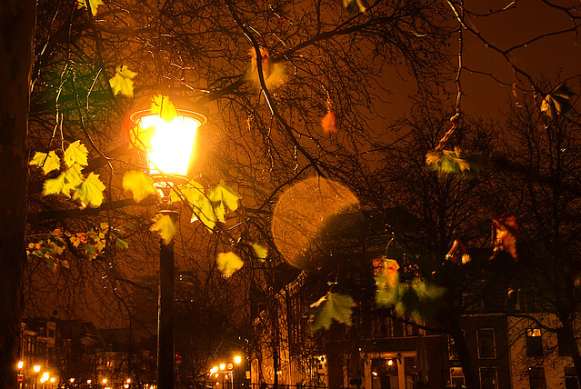 Leafs around a lantern - Snowy night in Utrecht