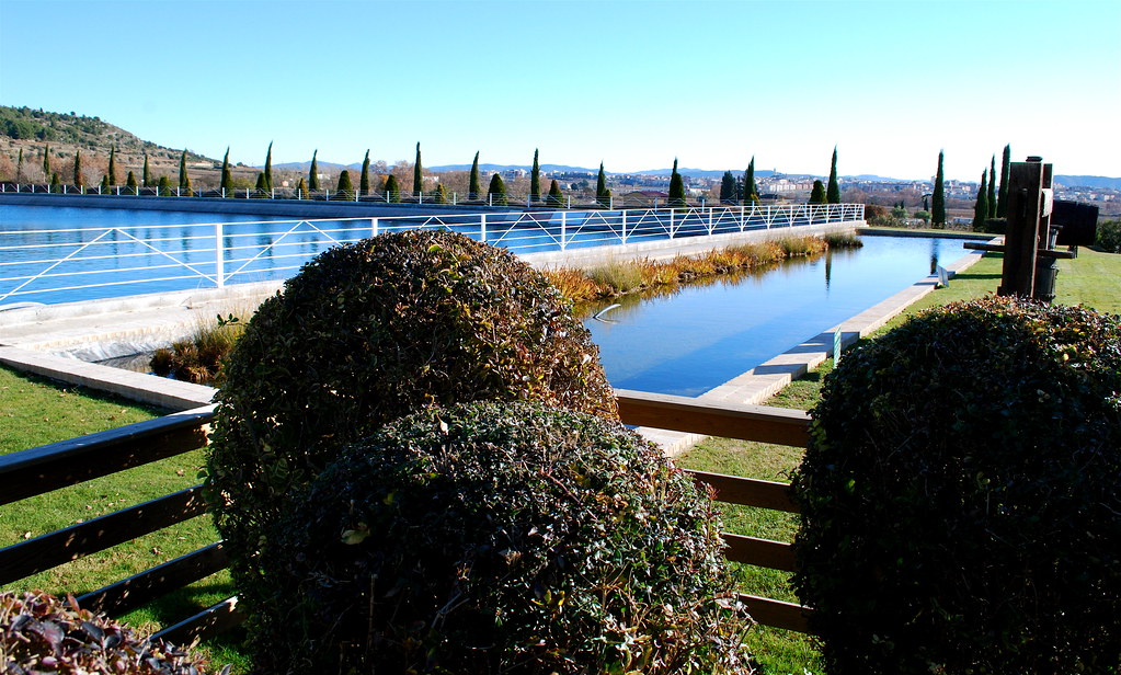Torres Winery