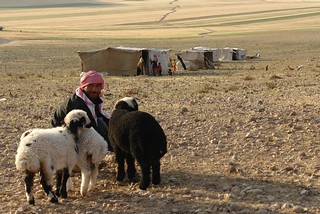 The Bedouins of Qalaat al-Shmamis | Qalaat al-Shmamis, Syria… | Flickr