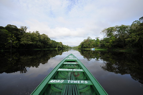 Amazon river view | by AriauGroup