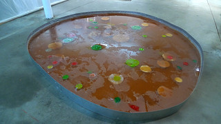 Michel Blazy Jus de Nymphea, Nov 2008 | A tea pond fermentin… | Flickr