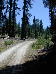 Sierra Nevada Road