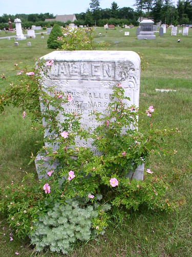 me cemetery maine evergreen alfred