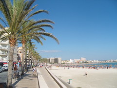(ES) Mallorca - palms and the beach