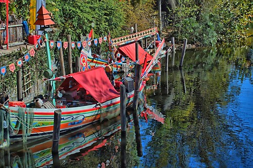Disney - Animal Kingdom Color Boat by Express Monorail