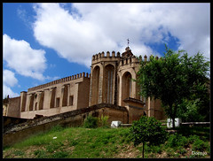 Ex-Monastery of San Isidoro del Campo
