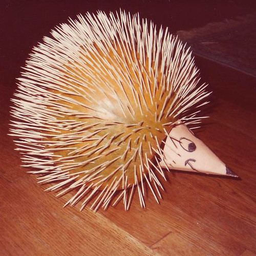 Porcupine Pumpkin | This one is my older brother's doing, an… | Flickr