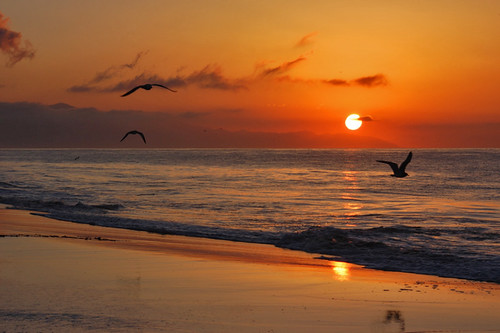 january 2006 sunrise santabarbara beach california seagulls waves peaceful serene tranquil nikon clouds d100 nikond100 birds eastbeach free creativecommons