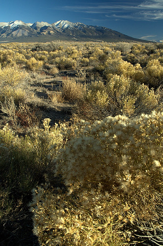 november mountains high colorado desert altitude d70s brush sage sanluisvalley mtblanca mywinners landscapesshotinportraitformat