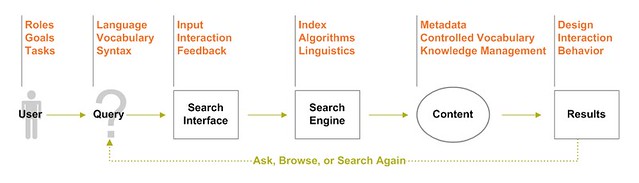 Search Anatomy