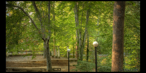 trees green leaves virginia shadows amphitheater fredericksburg universityofmarywashington