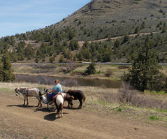 Little Horses - OC&E State Trail