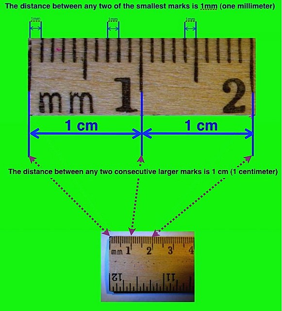 Wooden metric ruler