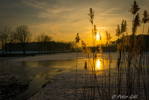 dechsendorf dechsendorfweiher natur winter erlangen germany sunset weiher pond lake franken nikonflickraward