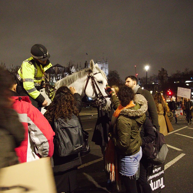 Protestors stroking a police horse