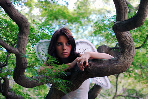 A New Perspective by bex finch