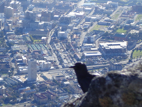South African City