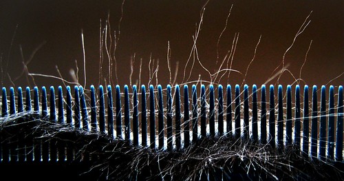 Cat Static.. | by Sea Moon