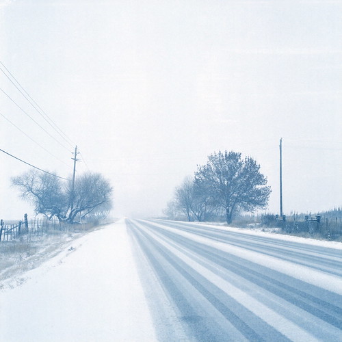 Snowy, windy day by mori_blur