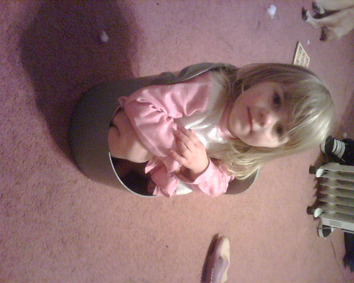 Tabbie in the bucket | by Chelbell