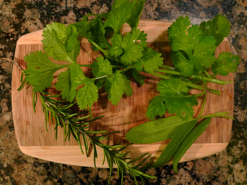 Fresh herbs, yo