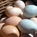 Bolivia - Sucre - Tarabuco Market - Blue Eggs