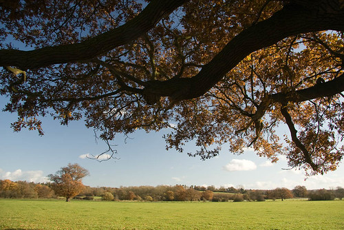 Kent in the Autumn The Eden Valley near Penshurst