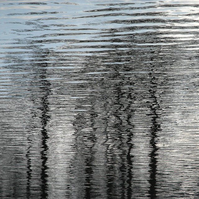 ice-cold November reflections