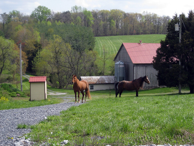 Maryland horse farm