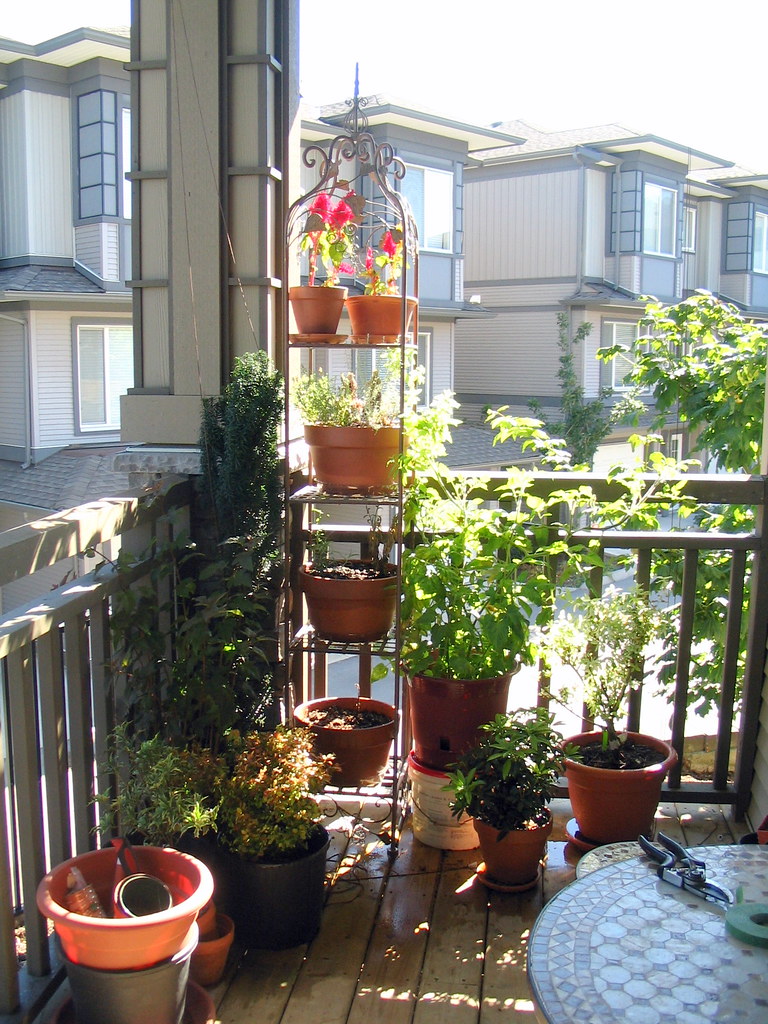 our small balcony garden | uploaded with the flock brows… | flickr