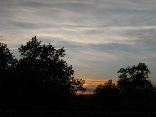 Flickr photo: MontrealDuGers 285